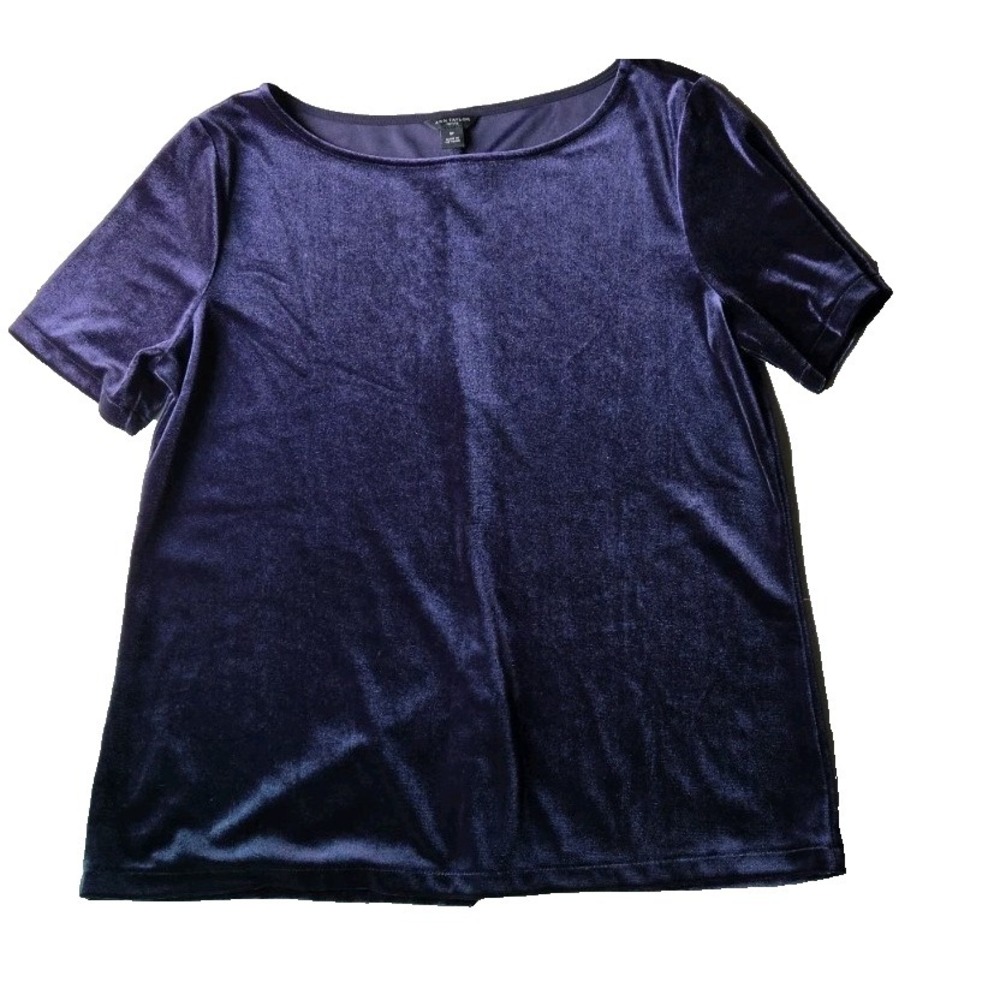 Ann Taylor Petite‎ Purple Velvet Boat Neck Top Small PS Party Fairy Whimsigoth